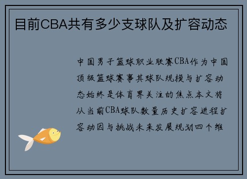 目前CBA共有多少支球队及扩容动态